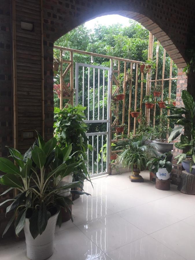 Tam Coc Scenery Homestay Van Lam Eksteriør billede