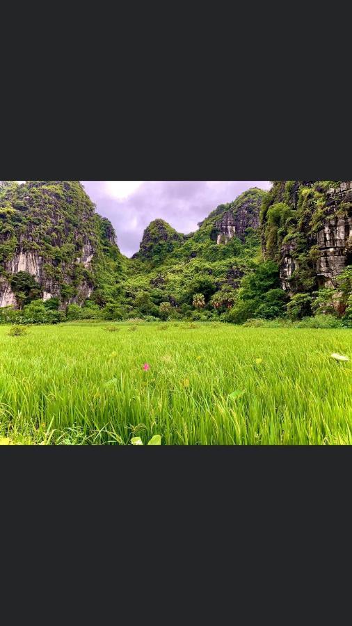 Tam Coc Scenery Homestay Van Lam Eksteriør billede